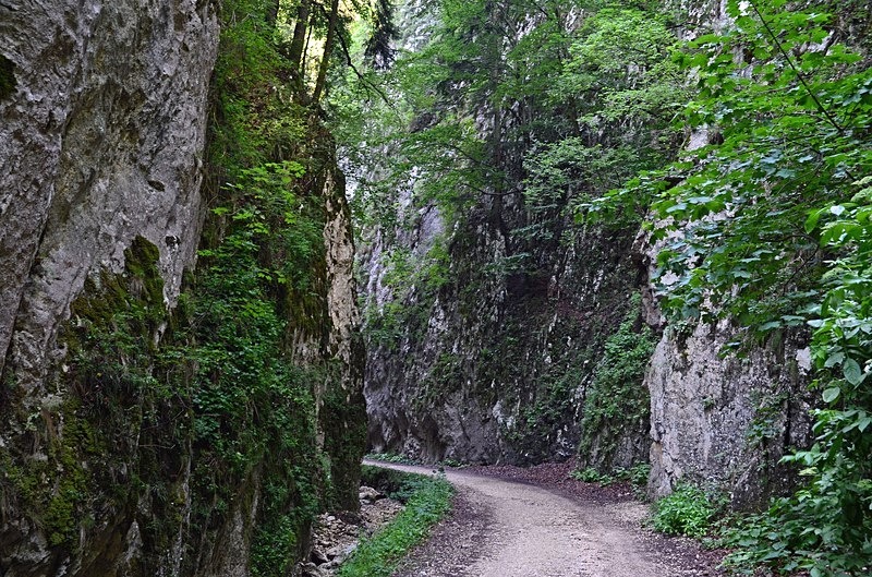 Piatra Craiului Mountains, Brașov County, Romania - Romania