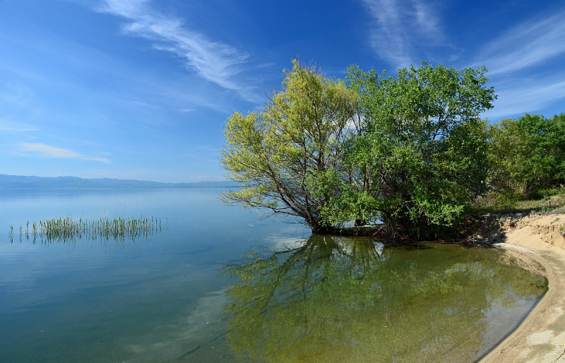 Great Prespa Lake (Megali Prespa), West Macedonia, Greece - West Macedonia