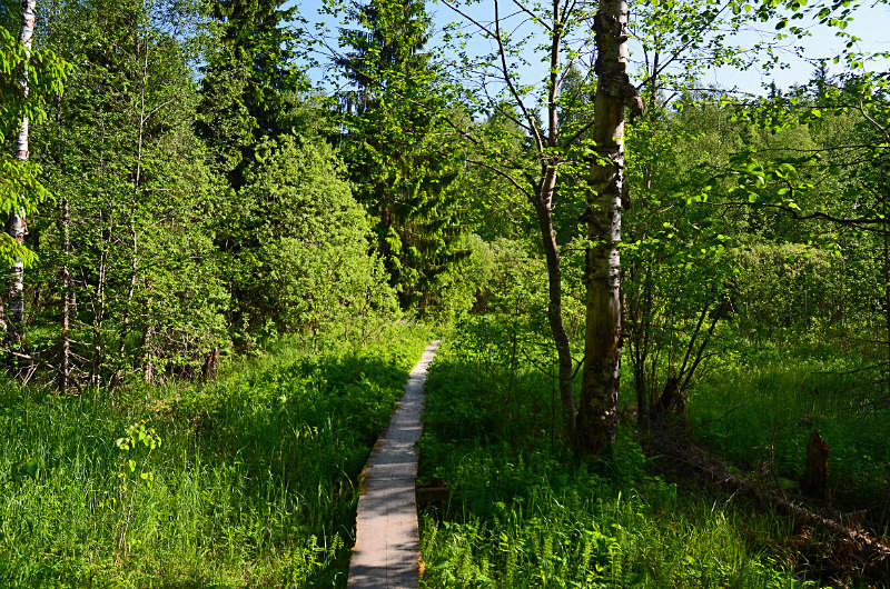 Nuuksio National Park, Uusimaa, Finland - North east Finland