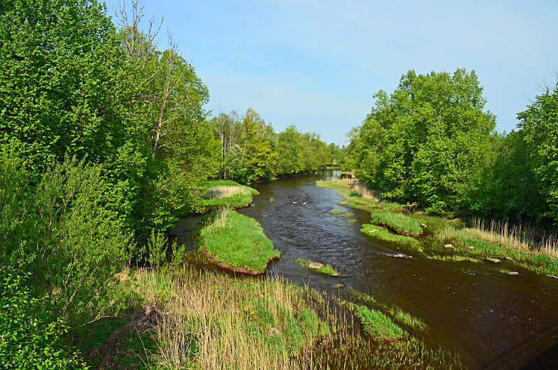 Soomaa National Park, Estonia - Estonia