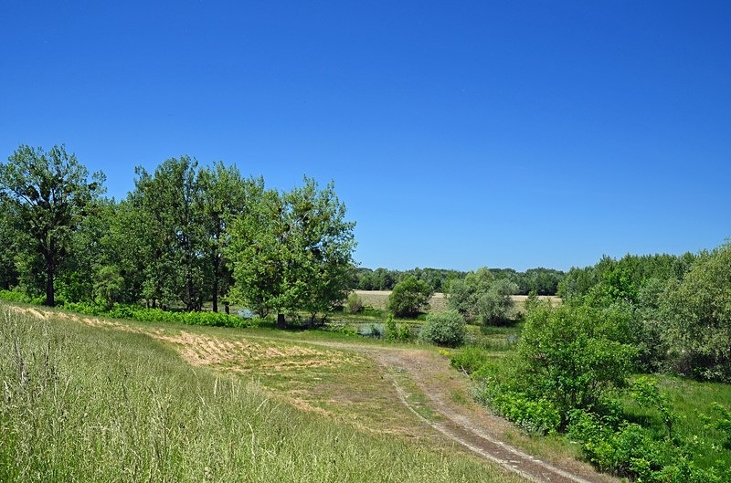 Latorica, Košice region, Slovakia - Slovakia