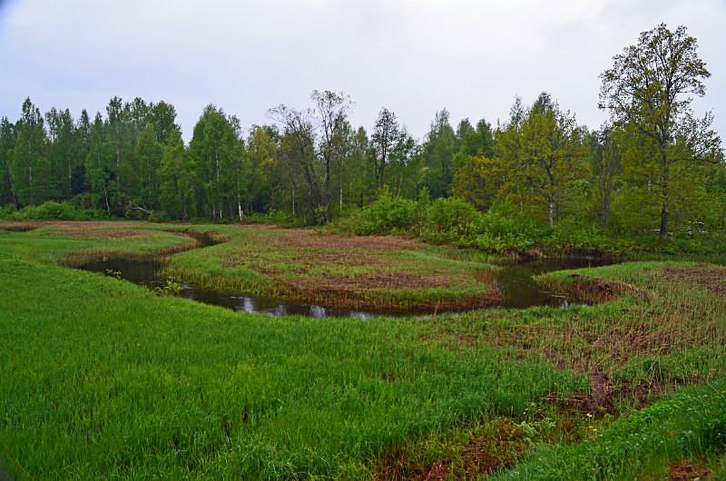 Soomaa National Park, Estonia - Estonia
