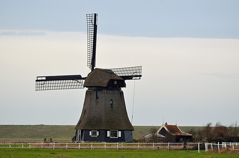 Pettemerpolder near Camperduin, Noord-Holland, Netherlands - Netherlands - December 2019