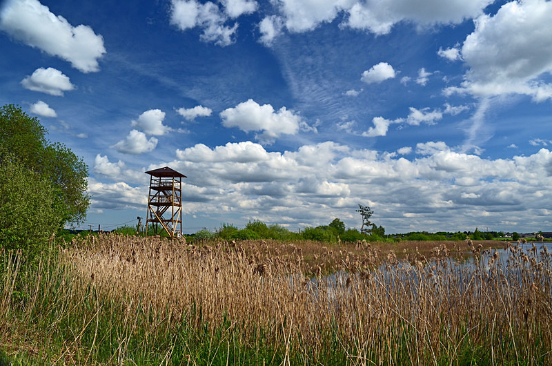 Ilmatsalu, Estonia - Estonia