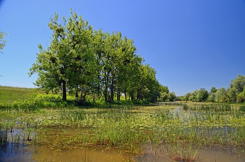 Latorica, Košice region, Slovakia - Slovakia