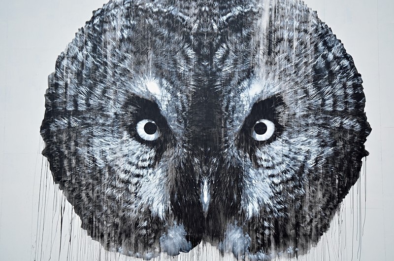 Great Grey Owl mural - Helsinki and Porvoo, Finland