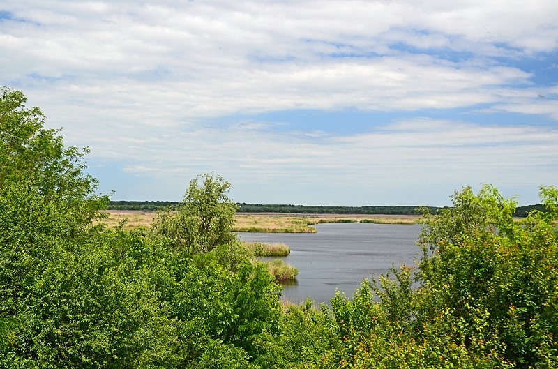Lake Srebarna, Silistra Province, Bulgaria - Bulgaria