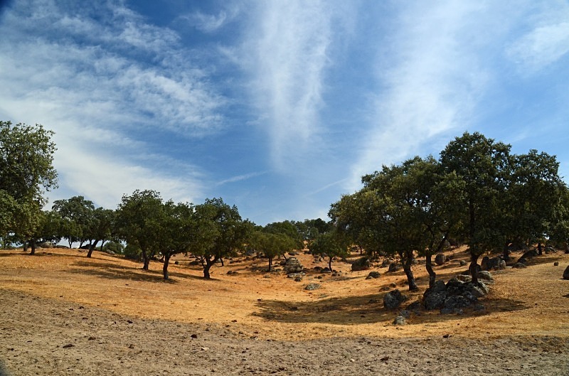 Sierra de Andújar, Andalucia, Spain - South Spain - September 2013