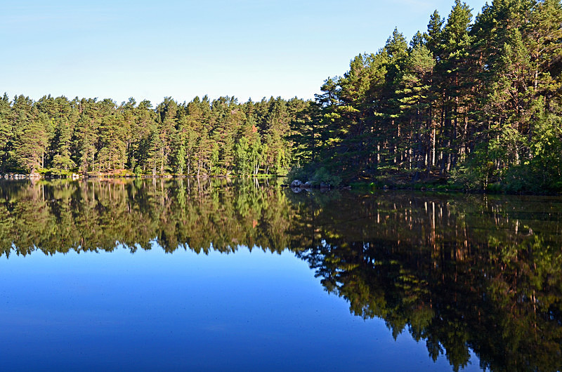 Loch Garten, Highland - Lakes and lochs