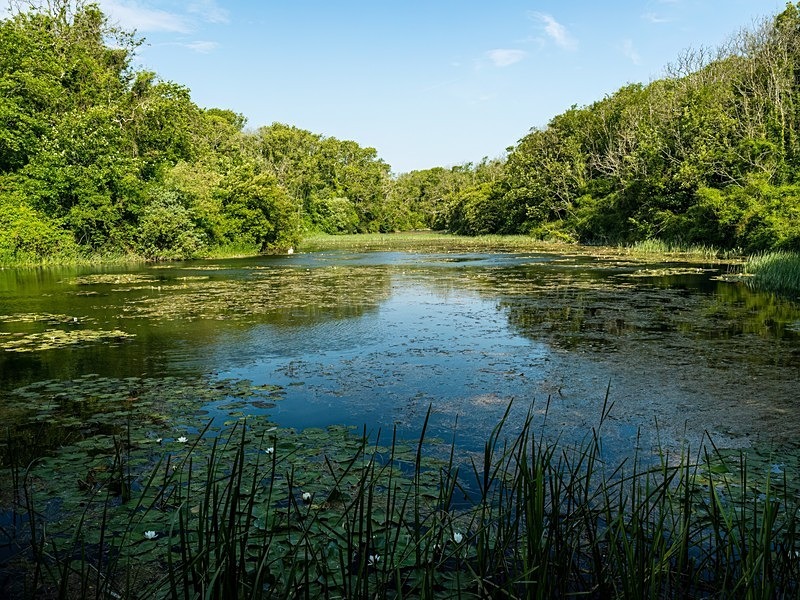 Bosherston Lily Ponds, Bosherton, Pembrokeshire - Lakes and lochs