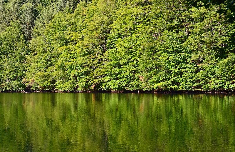 Morské oko, Vihorlat Mountains, Košice region, Slovakia - Slovakia