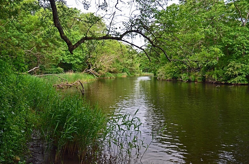 Ropotamo Nature Reserve, Burgas Province, Bulgaria - Bulgaria