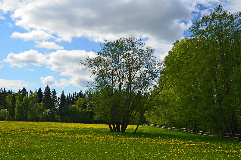 Endla Nature Reserve, Estonia - Estonia