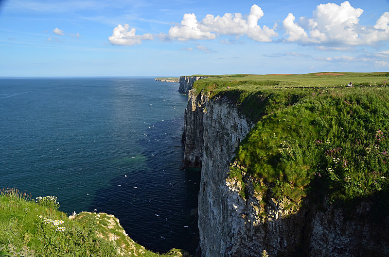 Bempton Cliffs, East Yorkshire - Sea and sand