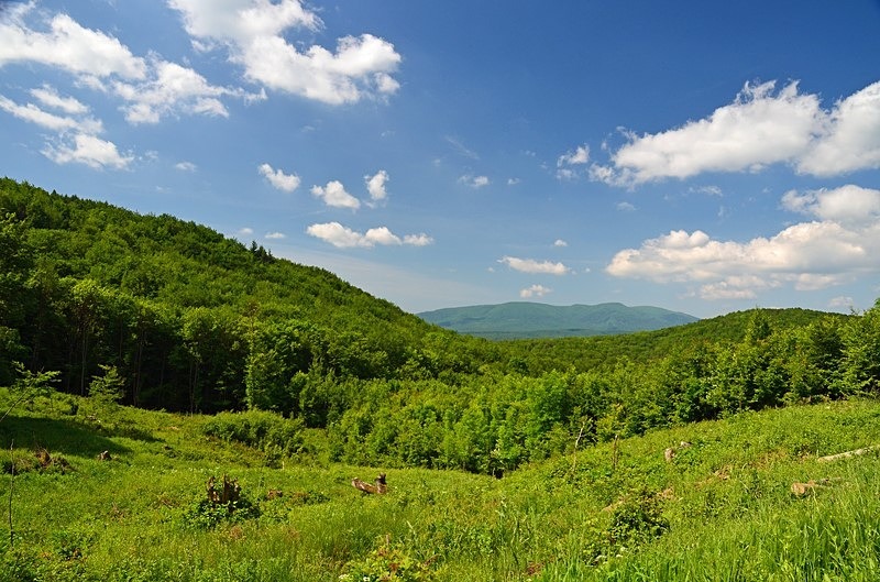 Vihorlat Mountains, Košice region, Slovakia - Slovakia