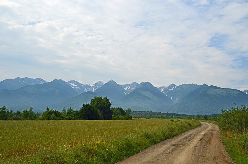 Făgăraș Mountains, Sibiu County, Romania - Romania
