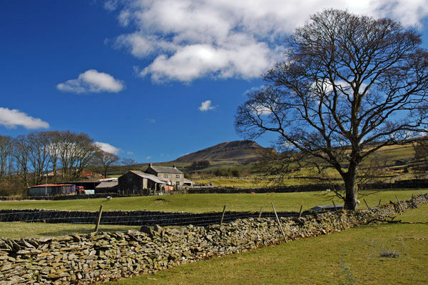 Pen-y-Ghent, North Yorkshire - Mountains and uplands