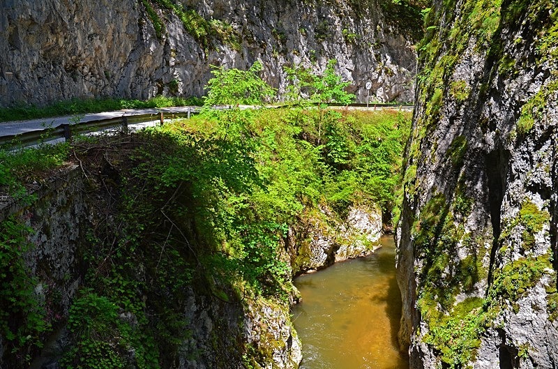 Western Rhodopes Mountains, Smolyan Province, Bulgaria - Bulgaria