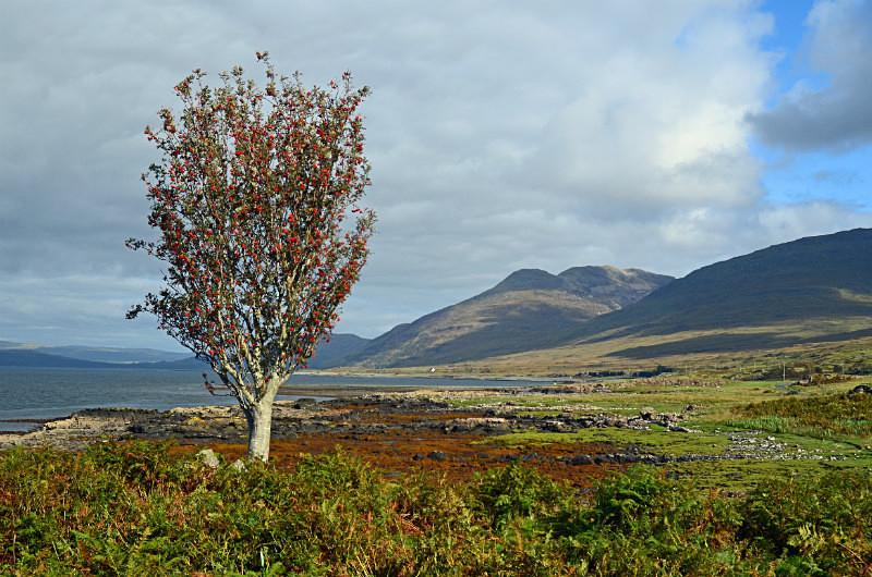 Loch na Keal, Mull, Argyll - Sea and sand