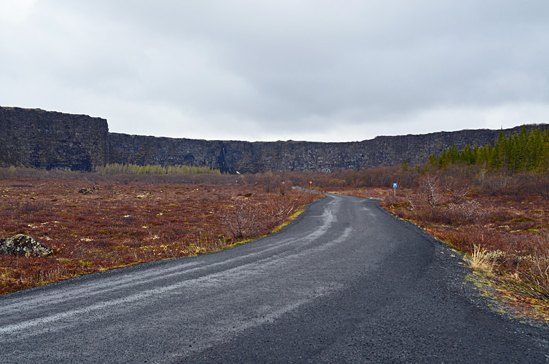 Ásbyrgi canyon, Vatnajökull National Park, north east Iceland - North east Iceland