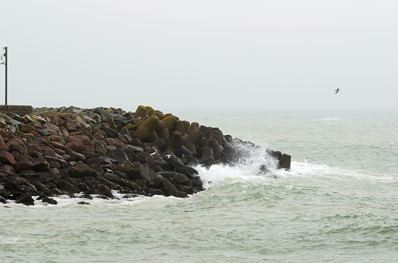 Kilmore Quay, Co. Wexford, Ireland - Ireland - January and February 2020