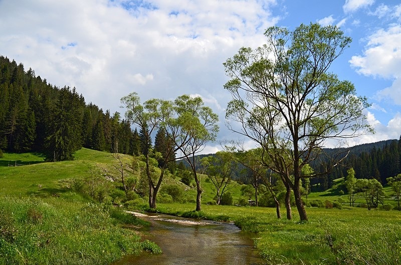 Western Rhodopes Mountains, Smolyan Province, Bulgaria - Bulgaria