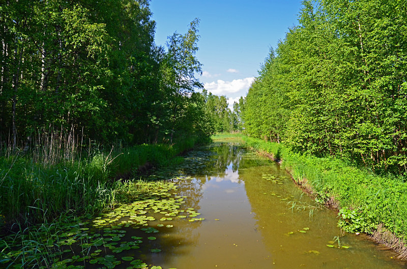 Viikki-Vanhankaupunginlahti Nature Reserve, Helsinki, Finland - North east Finland