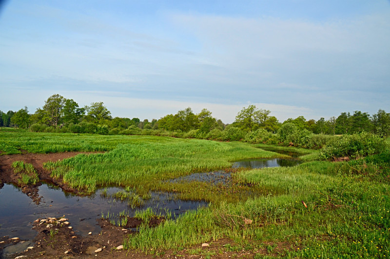 Soomaa National Park, Estonia - Estonia