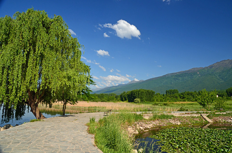 Lake Kerkini, Central Macedonia, Greece - Central Macedonia