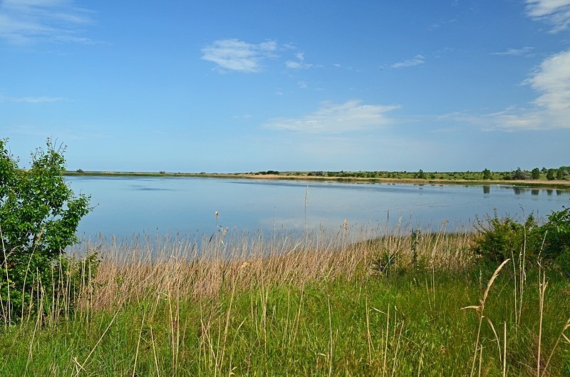 Shabla wetlands, Dobrich Province, Bulgaria - Bulgaria