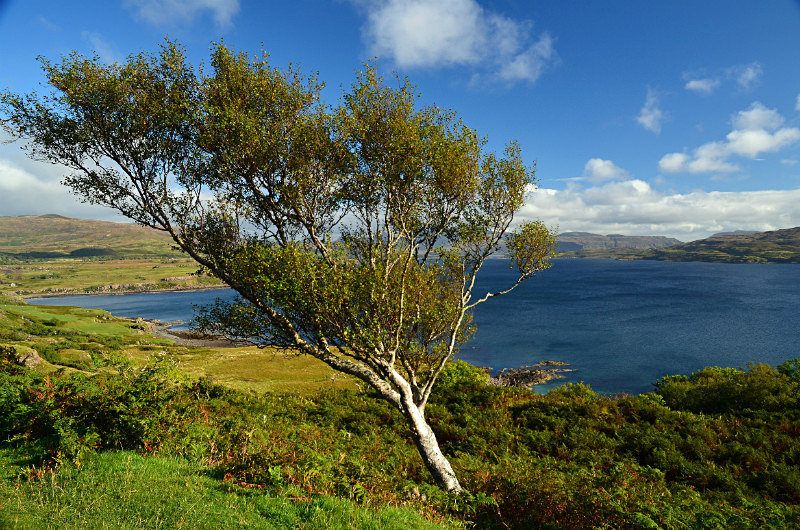 Loch Tuath, Mull, Argyll - Sea and sand