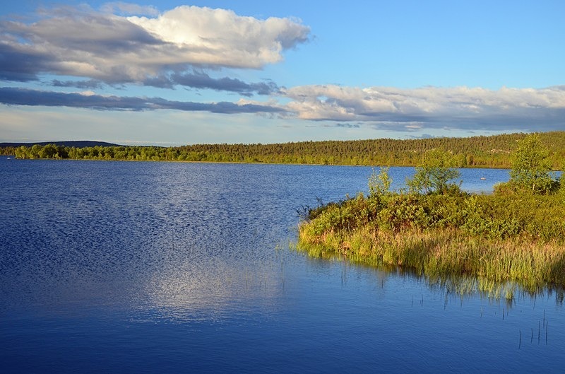 Pasvikdalen, Troms og Finnmark, Norway - North Norway
