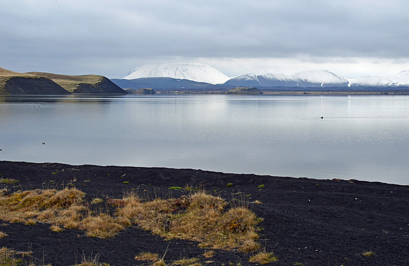 Lake Mývatn, north east Iceland - North east Iceland