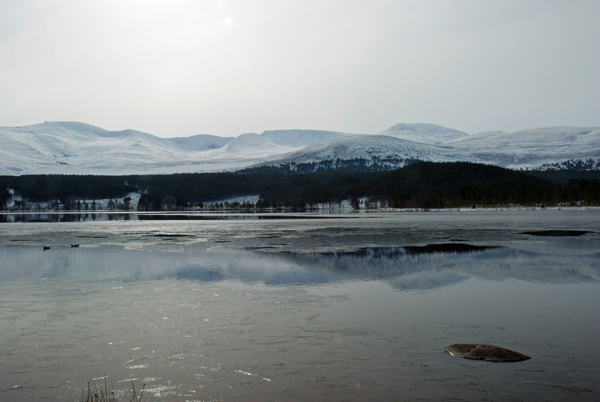 Loch Morlich, Highland - Lakes and lochs