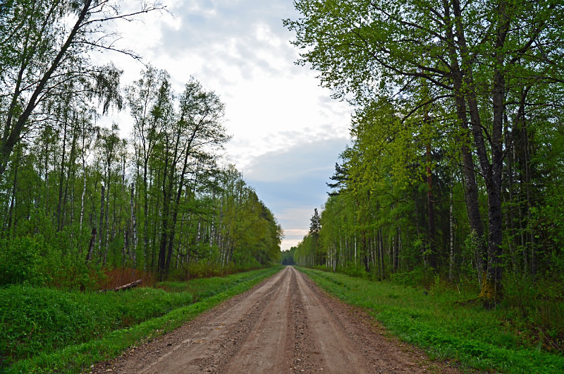Soomaa National Park, Estonia - Estonia
