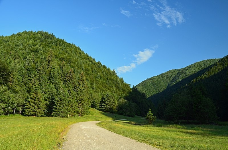 Piatra Craiului Mountains, Brașov County, Romania - Romania