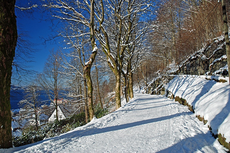 Fløyfjellet, Bergen - Bergen and Oslo