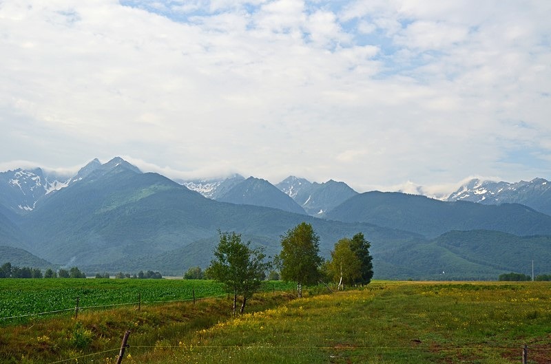 Făgăraș Mountains, Sibiu County, Romania - Romania