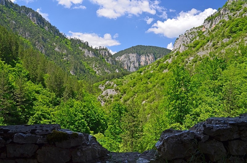 Western Rhodopes Mountains, Smolyan Province, Bulgaria - Bulgaria