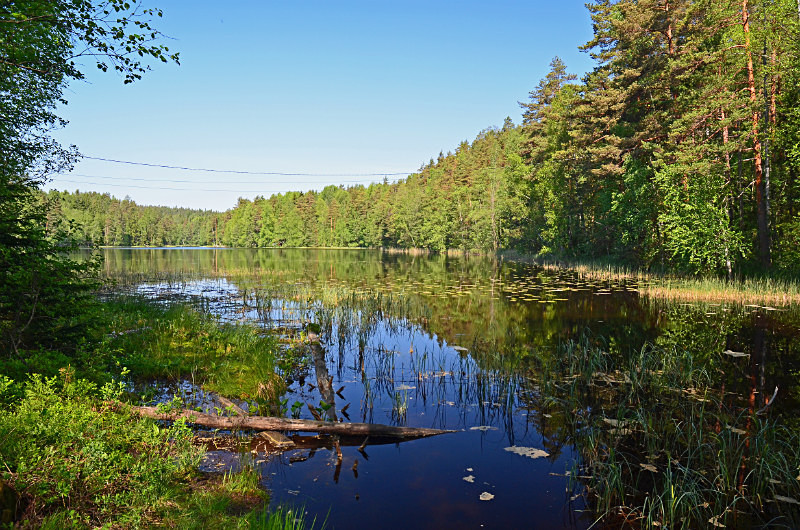 Nuuksio National Park, Uusimaa, Finland - North east Finland