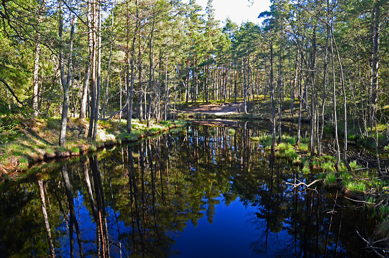 Nõva Recreation and Landscape Protection Area, Estonia - Estonia