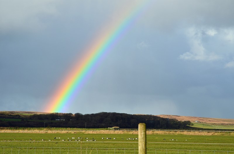  - Rainbows