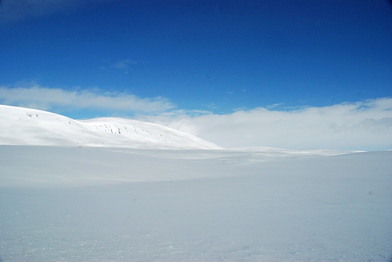 Kongsfjordfjellet, Varanger peninsula, Finnmark, Norway - Norway
