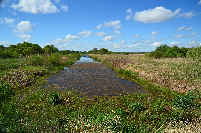 Aardla polder, Estonia - Estonia