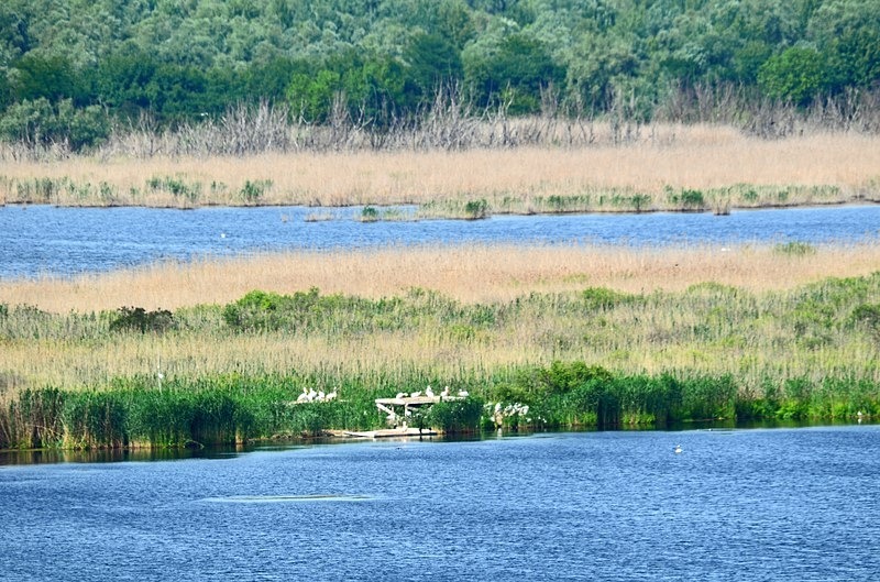 Lake Srebarna, Silistra Province, Bulgaria - Bulgaria