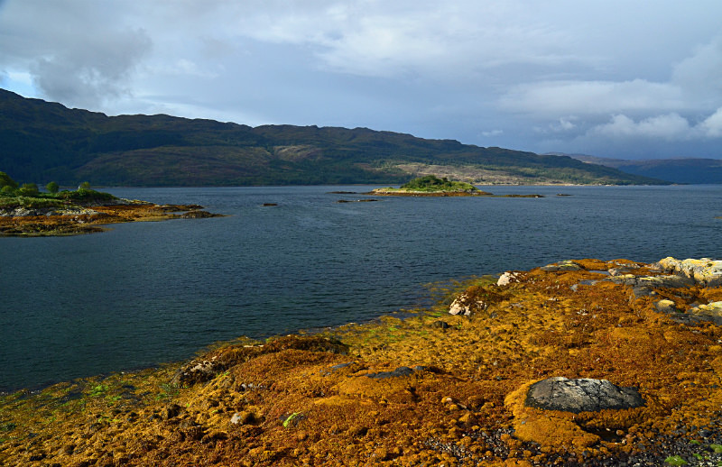 Loch Sunart, Ardnamurchan, Highland - Lakes and lochs