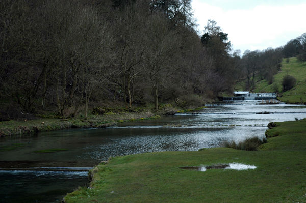 River Lathkill, Derbyshire - Rivers