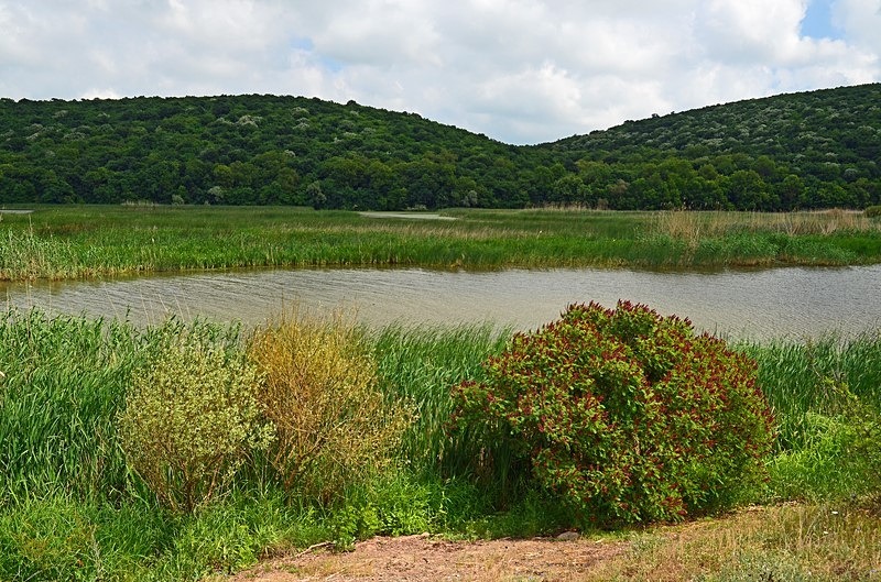 Lake Mandra, Burgas Province, Bulgaria - Bulgaria