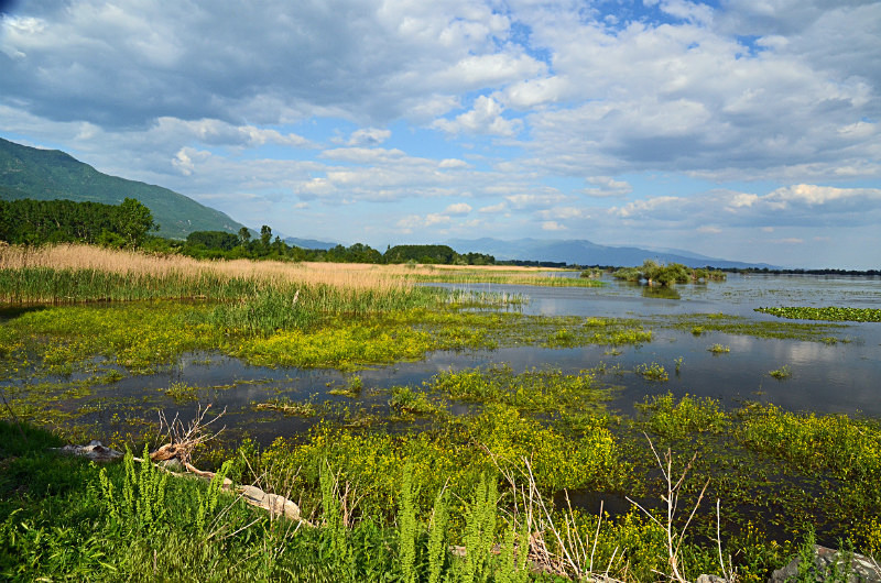 Lake Kerkini, Central Macedonia, Greece - Central Macedonia