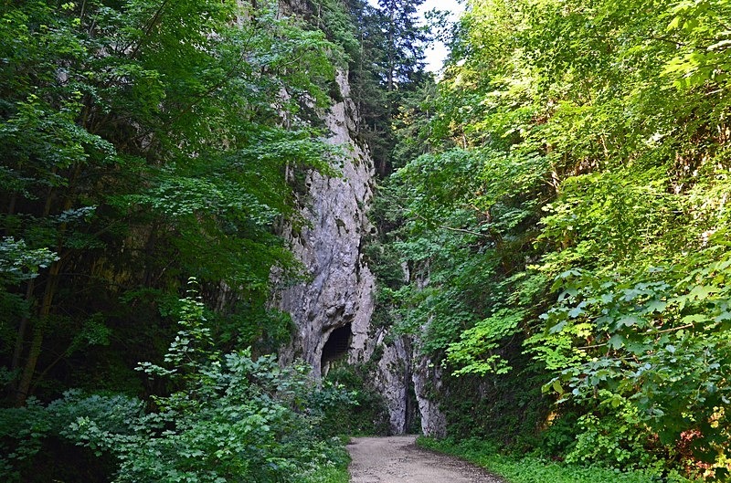 Piatra Craiului Mountains, Brașov County, Romania - Romania